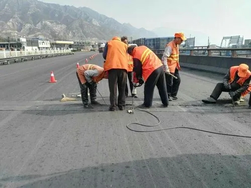 永嘉道路桥梁病害治理